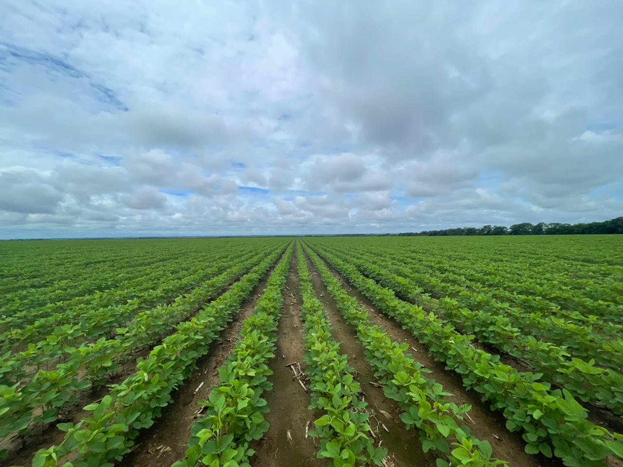 WhatsApp Image 2026-03-27 at 6.05.25 PM (2)